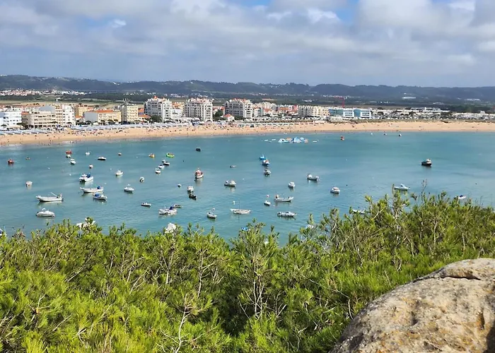 ヴィラ Casa R&M Pedrulheira